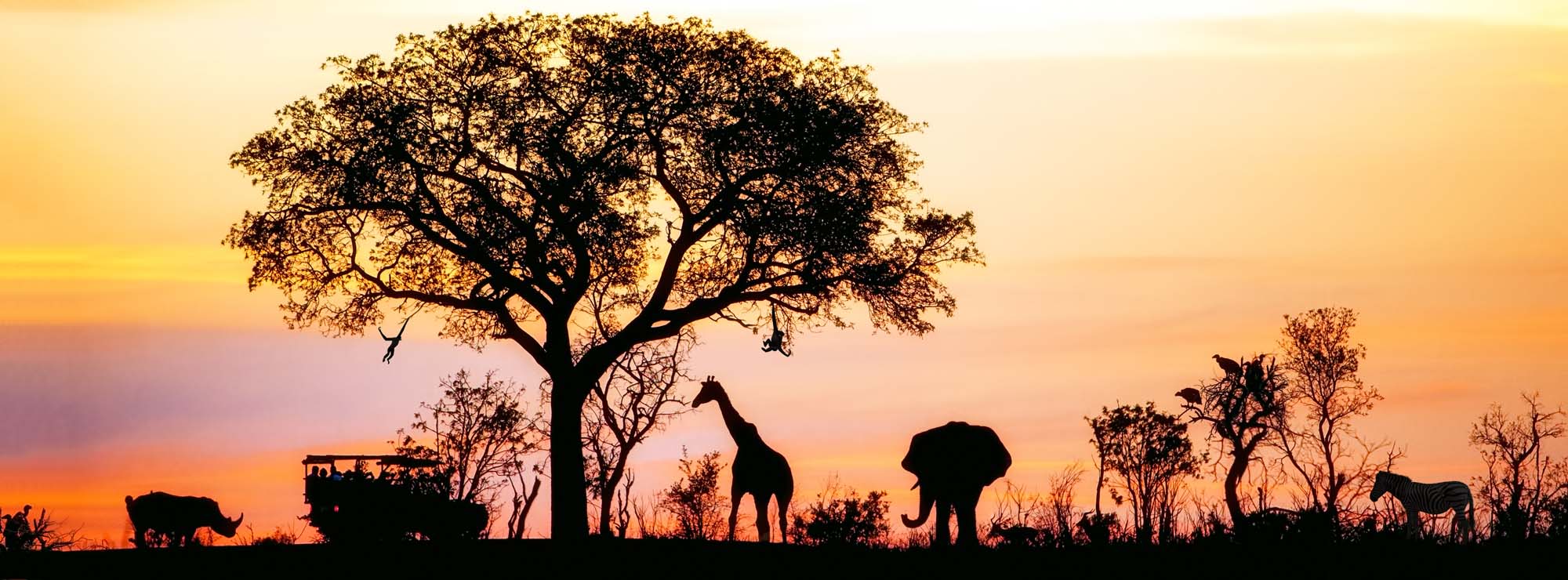 Safari wildlife silhouettes at sunset with acacia tree and safari vehicle
